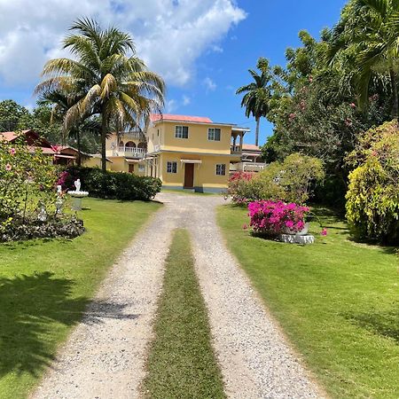 Little Shaw Park Guest House Ocho Rios Buitenkant foto