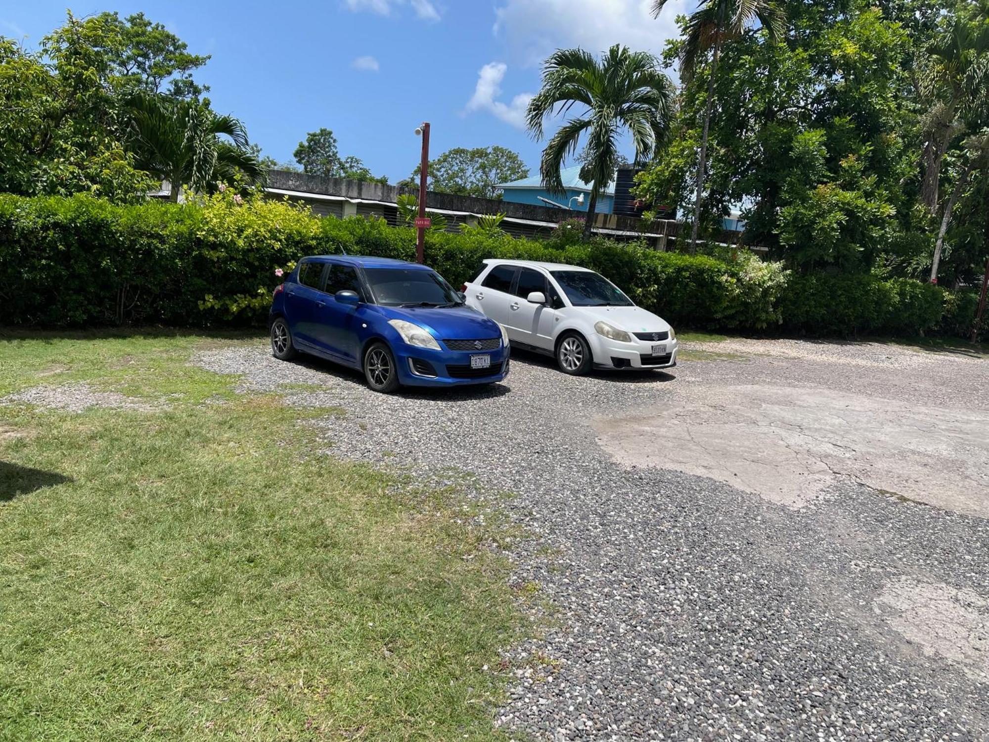 Little Shaw Park Guest House Ocho Rios Buitenkant foto