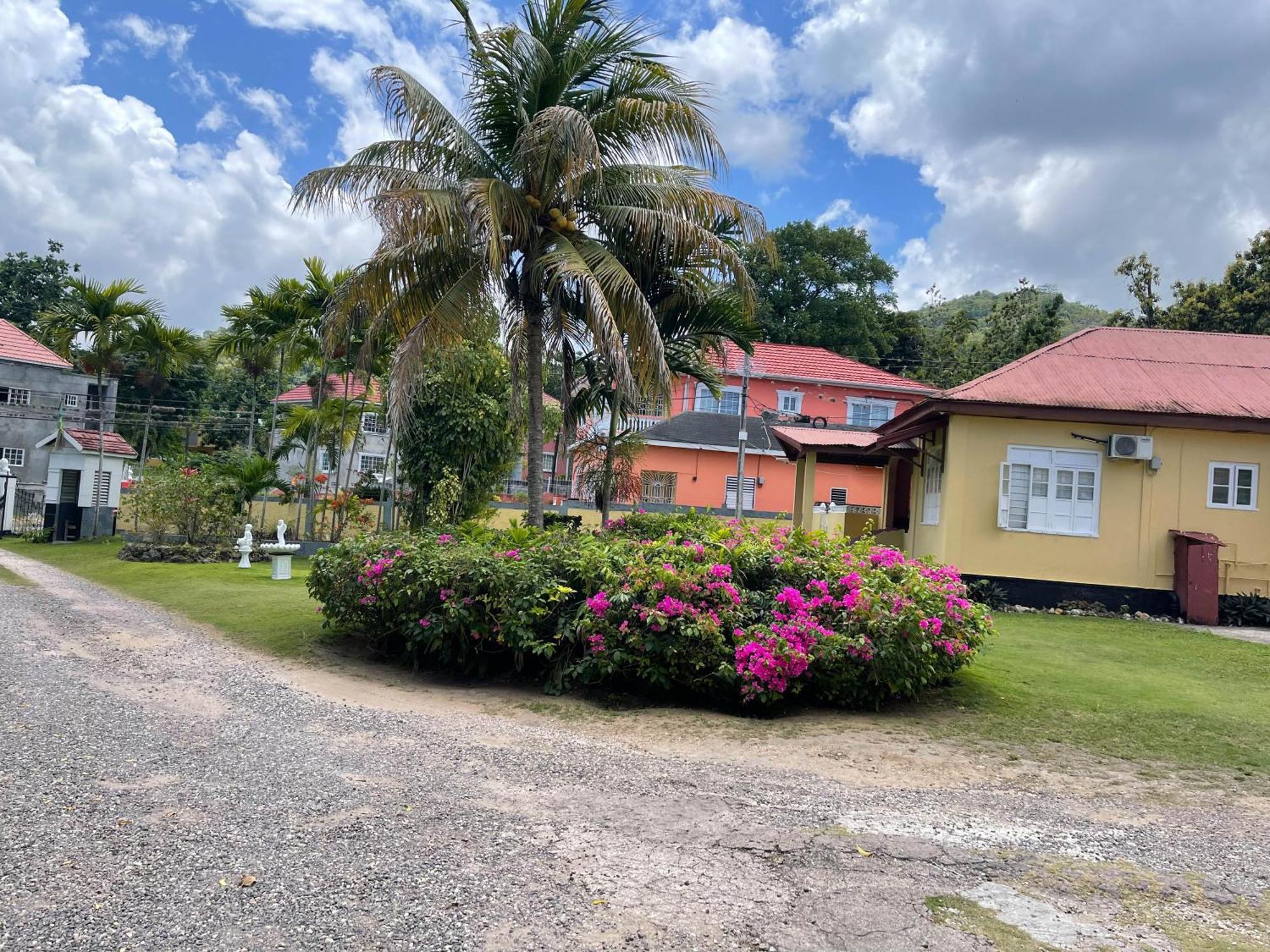 Little Shaw Park Guest House Ocho Rios Buitenkant foto