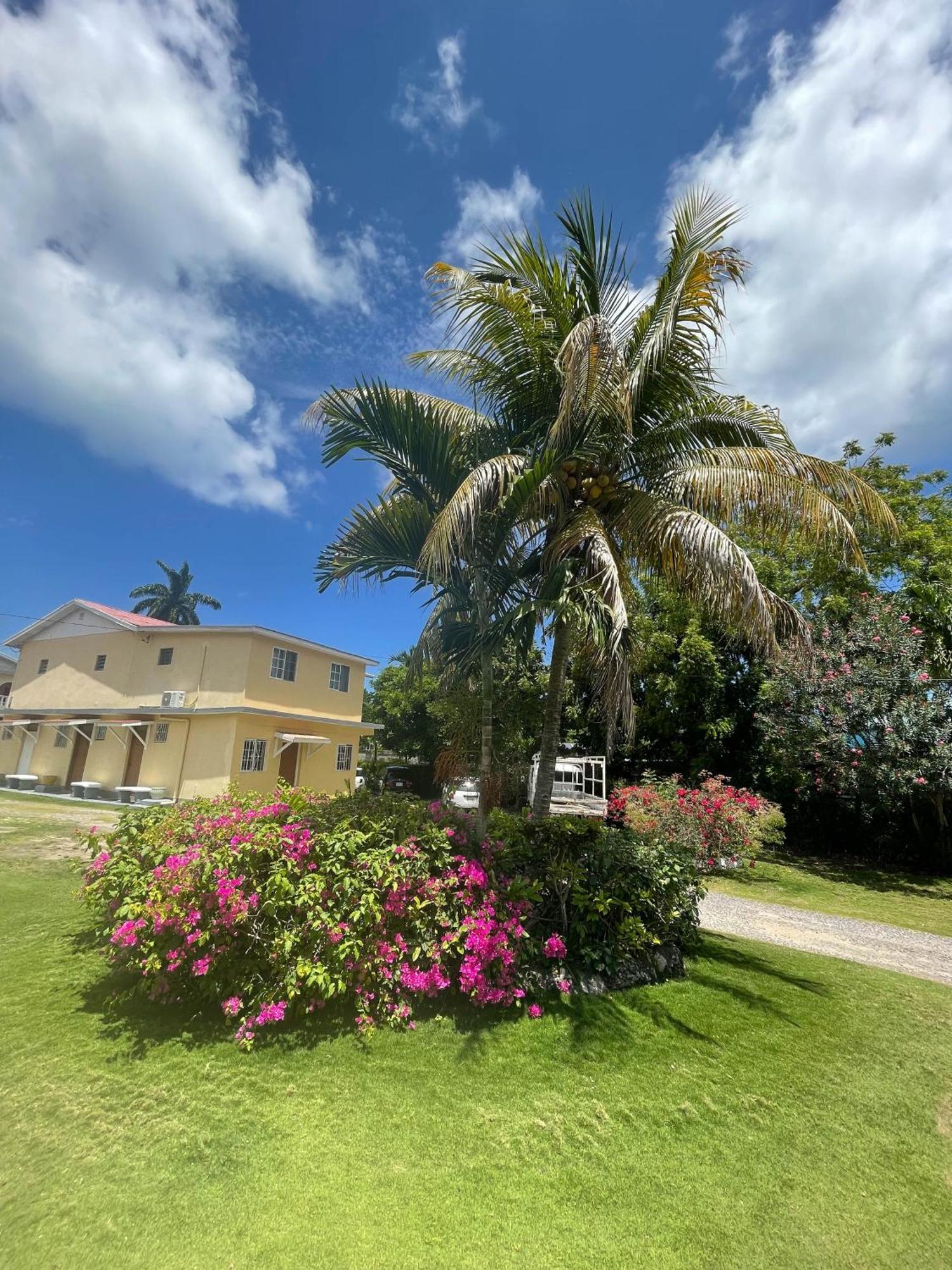 Little Shaw Park Guest House Ocho Rios Buitenkant foto